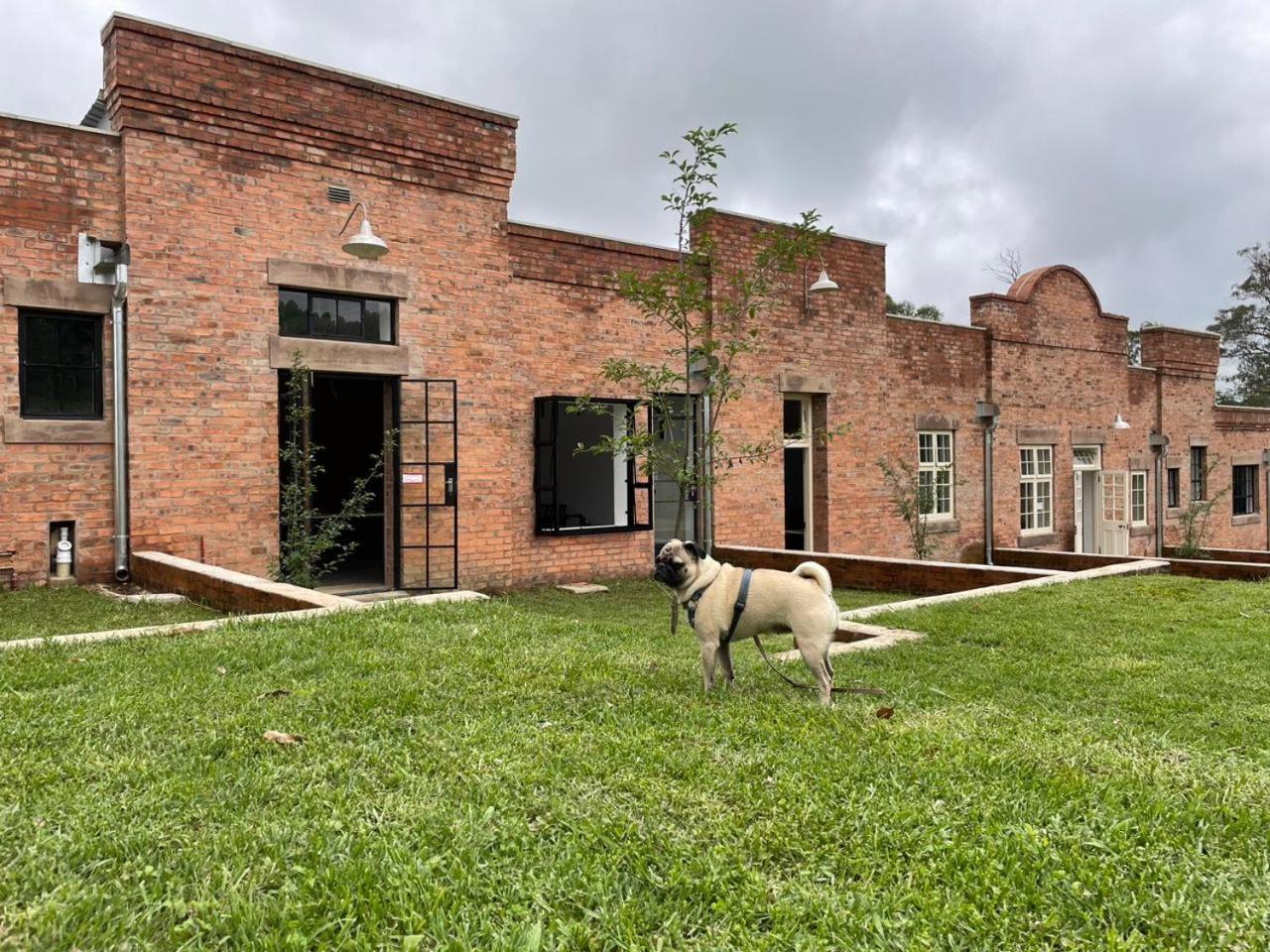The Old Mushroom Farm Howick Exterior foto