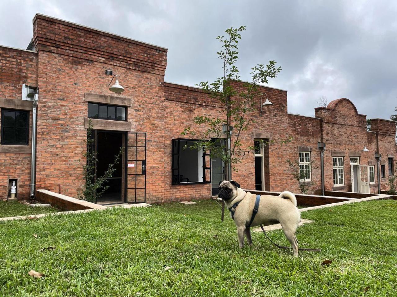 The Old Mushroom Farm Howick Exterior foto